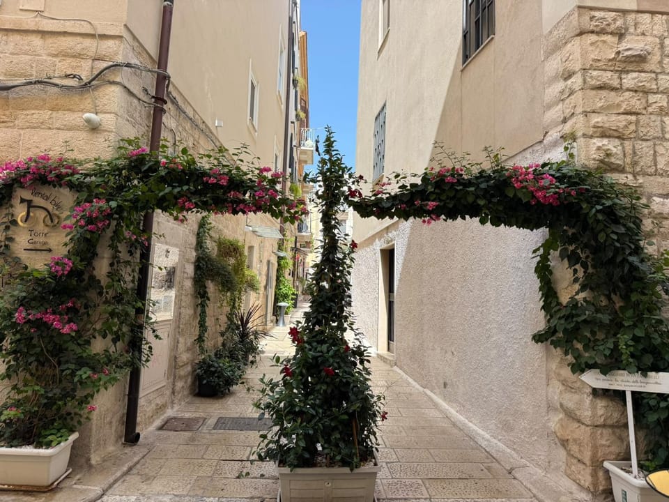 B&B Torre Canina suite & rooms Bed and Breakfast in Trani
