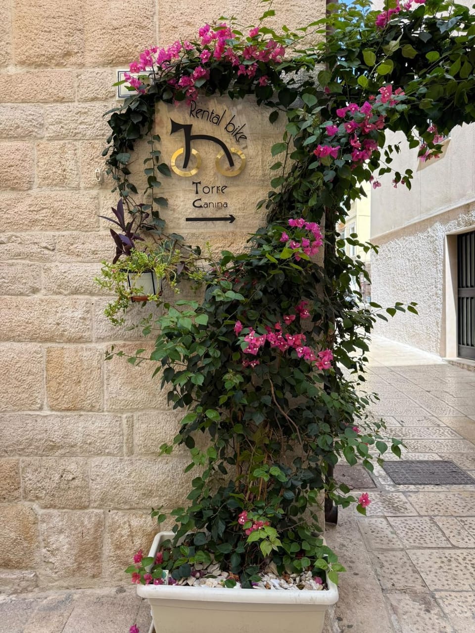B&B Torre Canina suite & rooms Bed and Breakfast in Trani