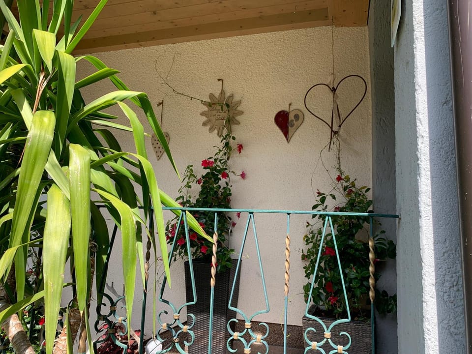 Appartement Brandner Apartment in Salzburgerland