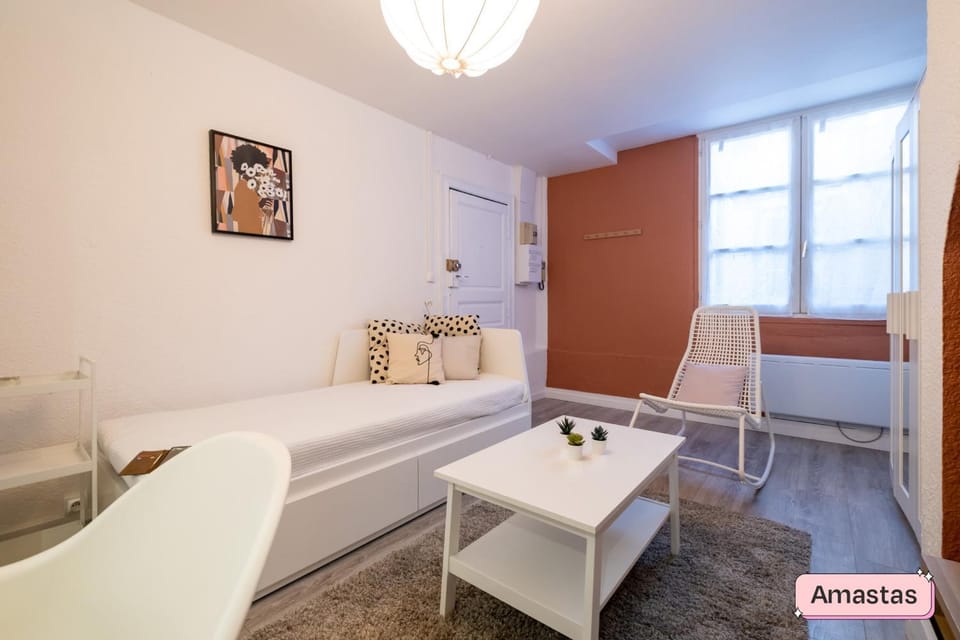 Cosy studio in central Toulouse Apartment in Toulouse