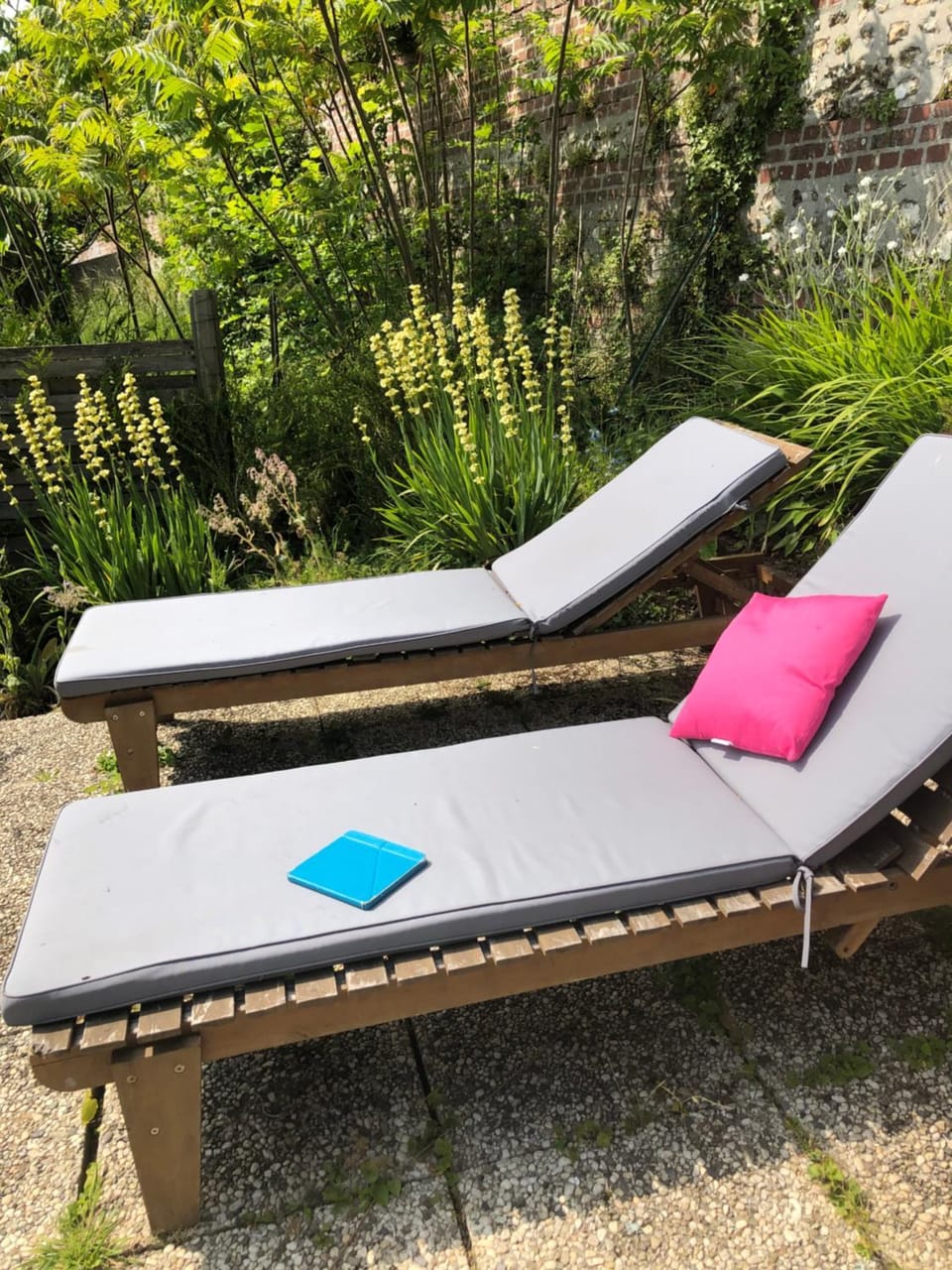 Garden, sunbed