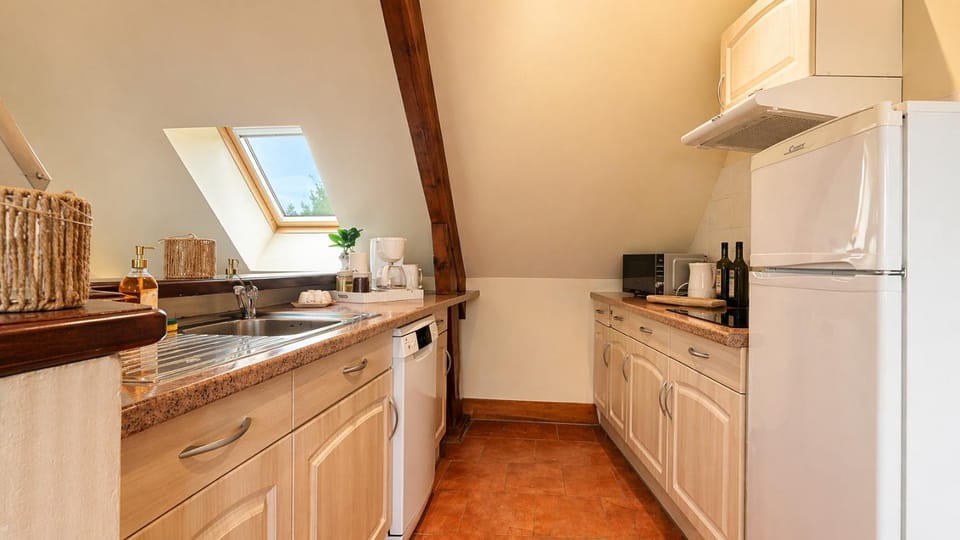 Kitchen or kitchenette, stove, stove