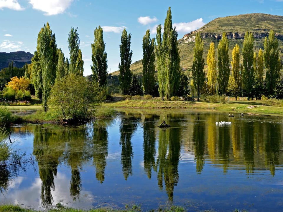 Autumn, Lake view