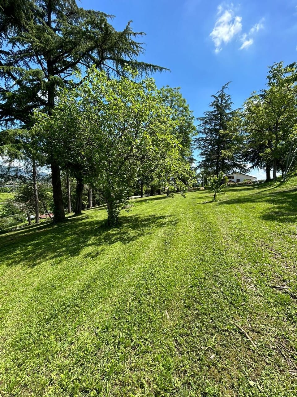 B&B SAN MARTINO Bed and Breakfast in Friuli-Venezia Giulia