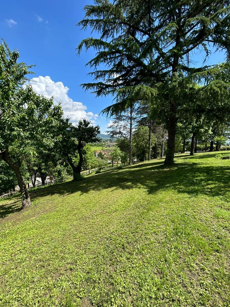 B&B SAN MARTINO Bed and Breakfast in Friuli-Venezia Giulia