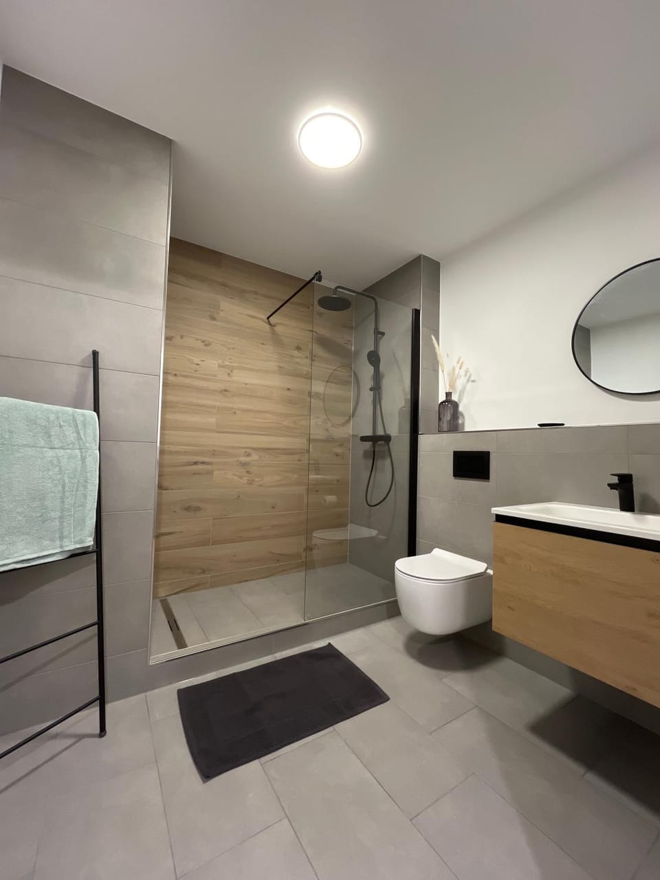 Bathroom, Living room
