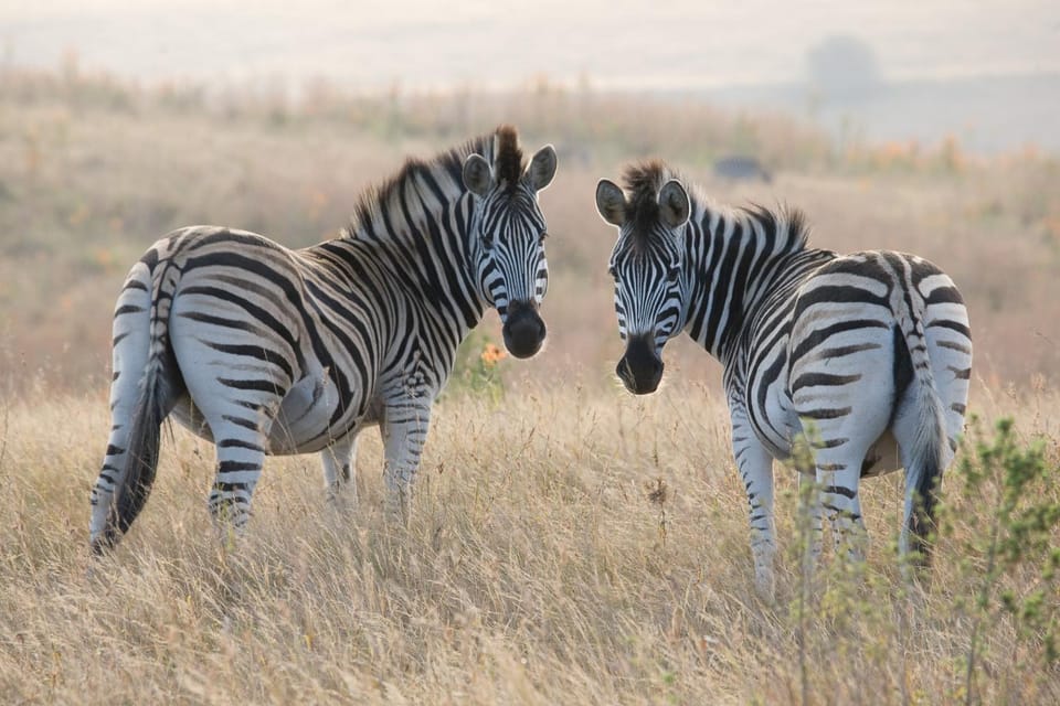 Duma Manzi Eco Lodge & Spa Nature lodge in KwaZulu-Natal