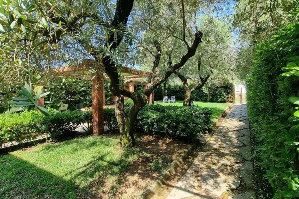 Villa degli Ulivi a pochi passi dal mare House in Lazio
