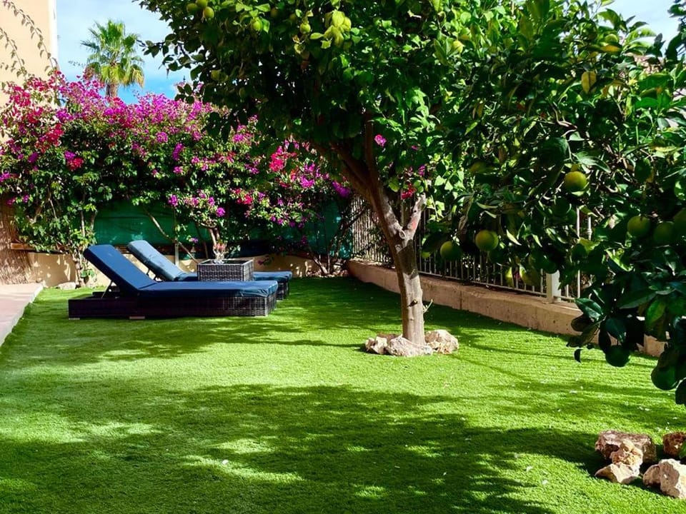 Garden