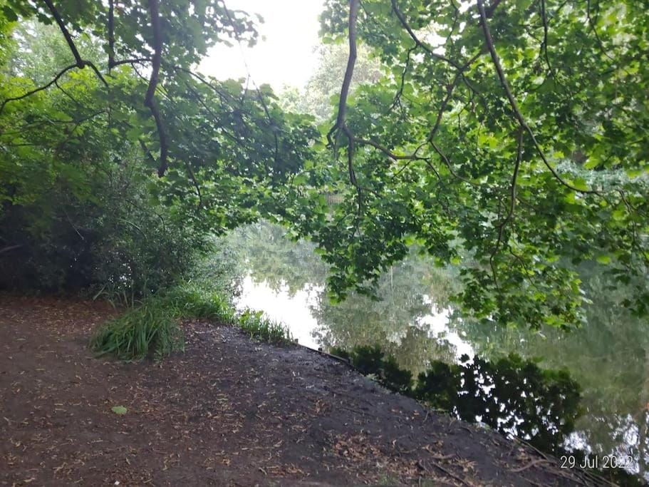 Natural landscape, Lake view