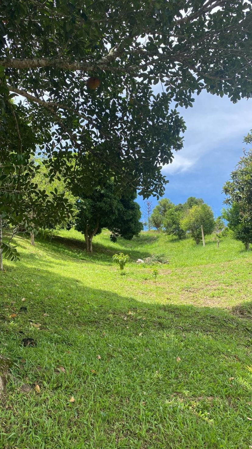 Chácara De Paula Chalet in State of Rio de Janeiro