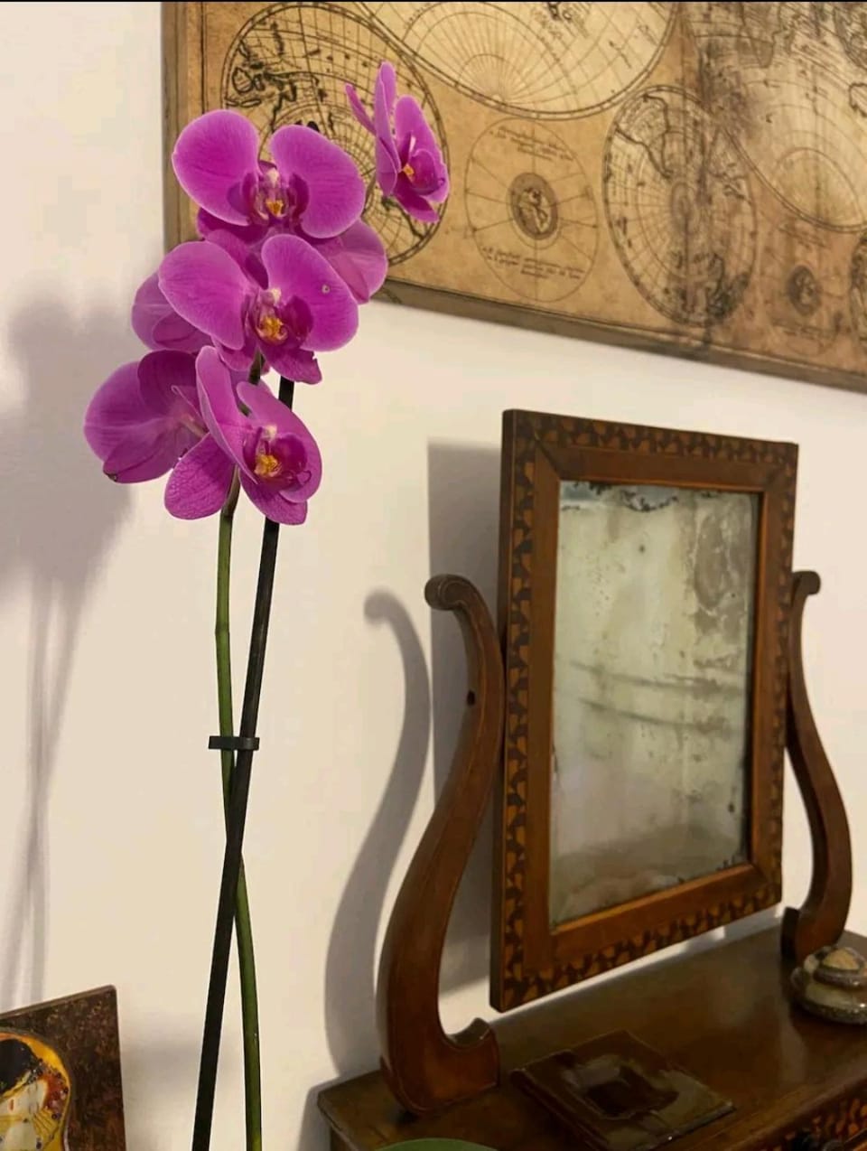Cozy home in the city centre Apartment in Turin