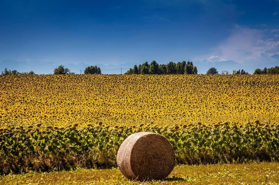 Il Poggio Agrisport Farm Stay in Piedmont