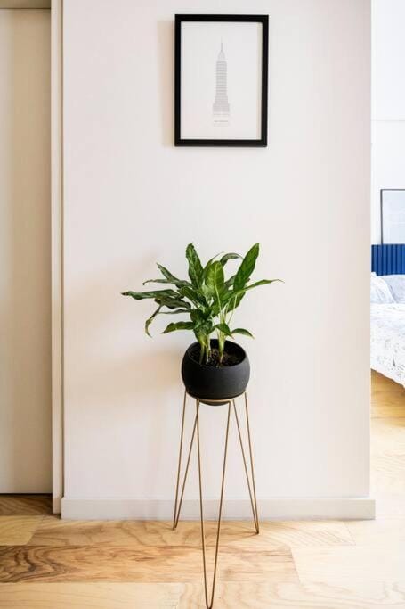 A Hip Modern Gem in El Centro! Apartment in Mexico City