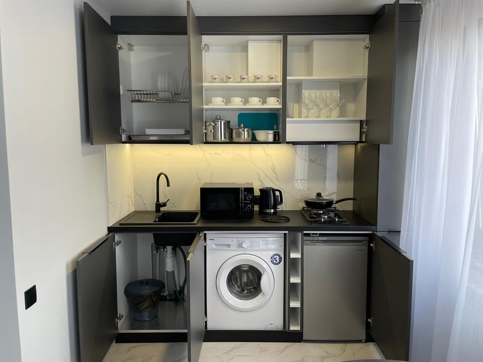 Kitchen or kitchenette, minibar, stove, washing machine