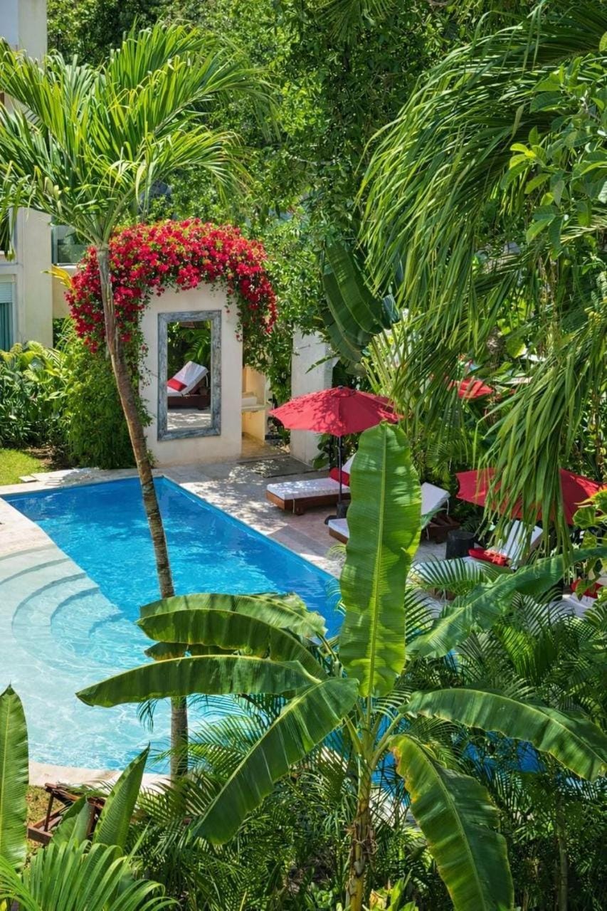 Apartment Centro 8 pax Apartment in Playa del Carmen