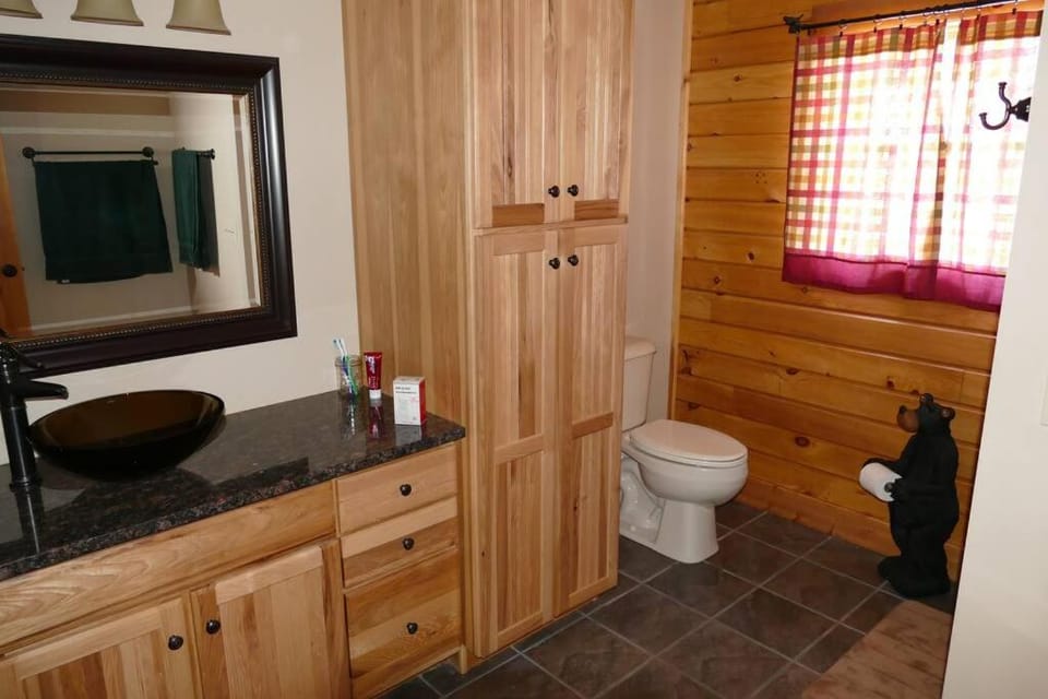 Mountain Maryland! Bear in the Woods Chalet in Garrett County