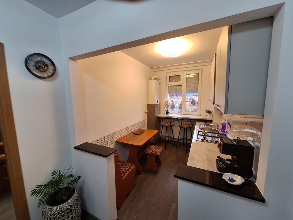 Panoramic Central Apartment Apartment in Romania