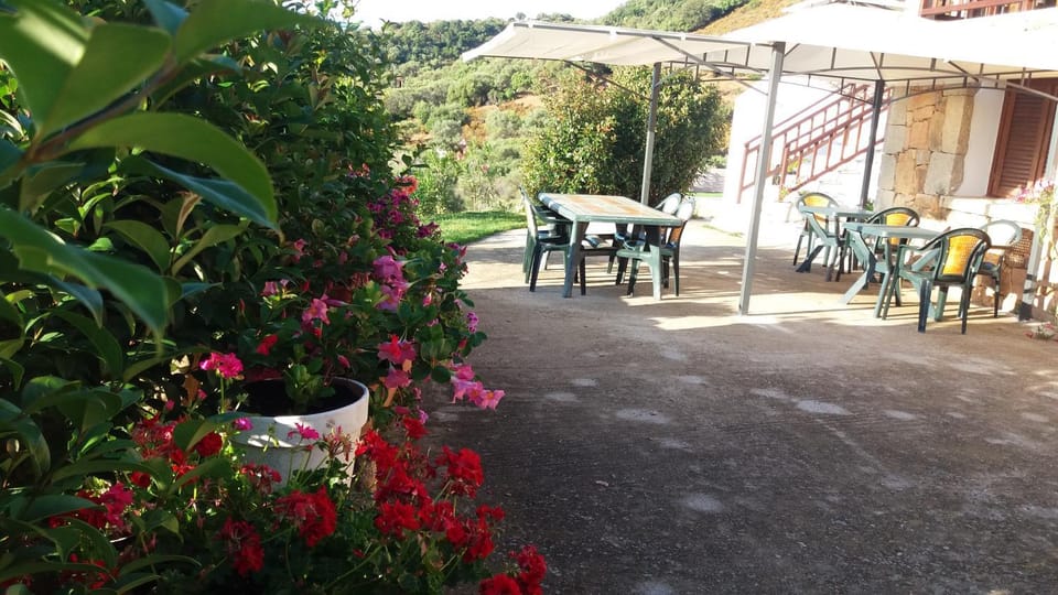 Patio, Spring, Internal: Not applicable to any particular room