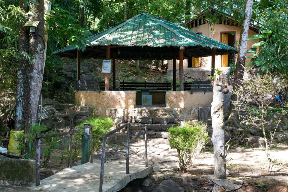 Property building, Day, Garden