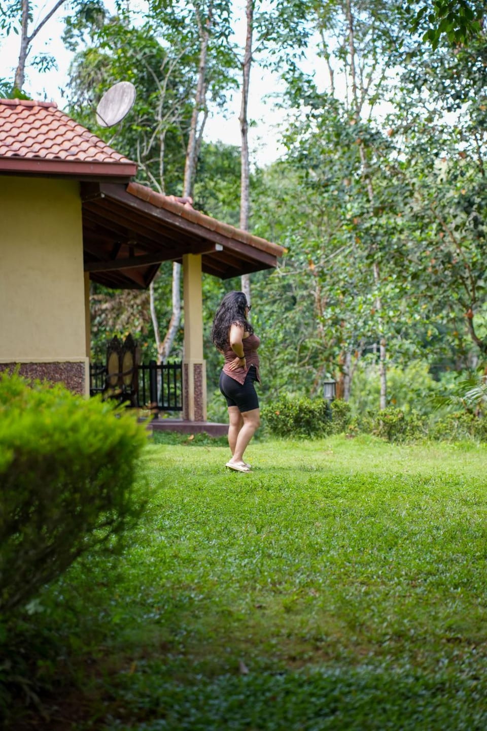 Natural landscape, Garden