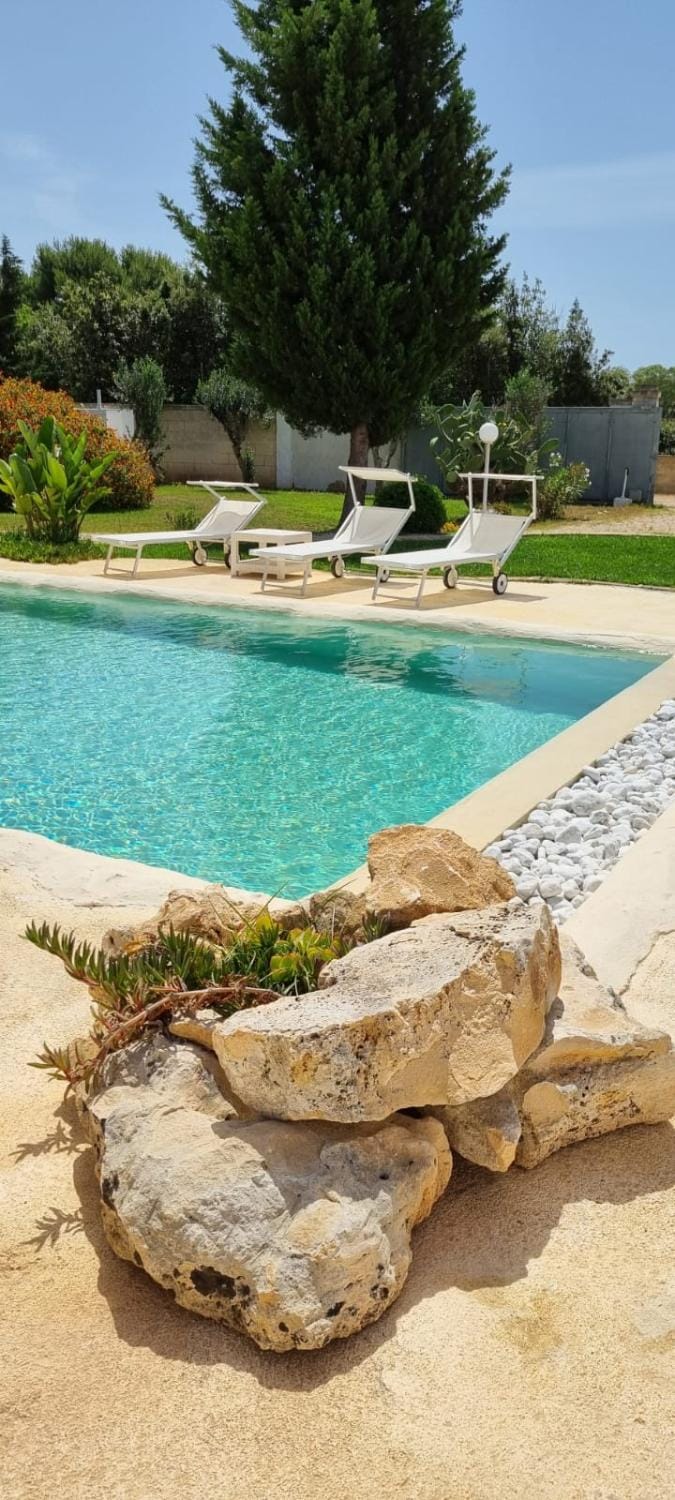 Garden, Swimming pool, sunbed