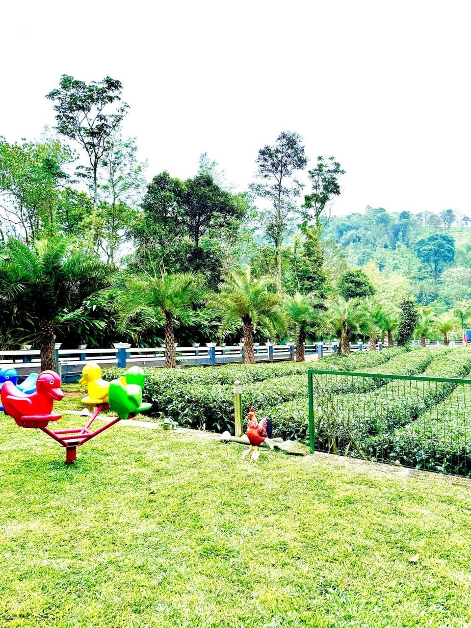 Children play ground, Children play ground