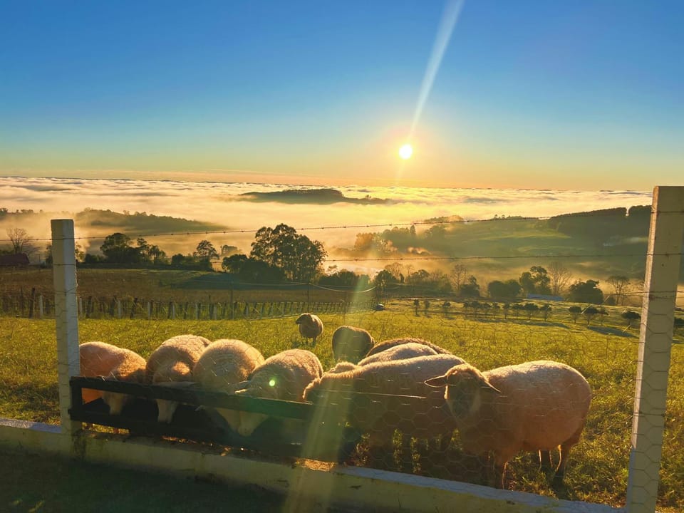 Natural landscape, Sunrise