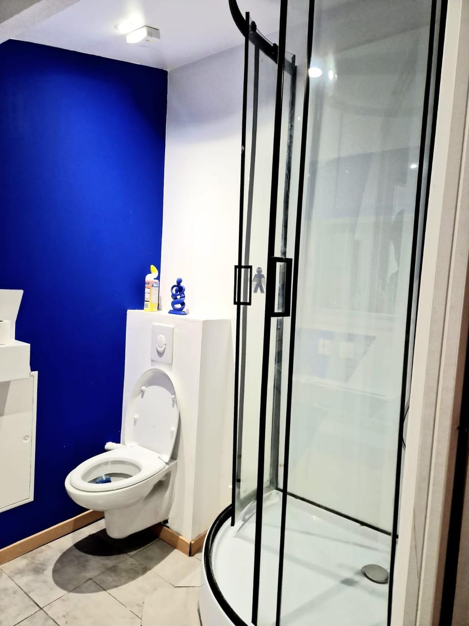 Shower, Toilet, Bathroom