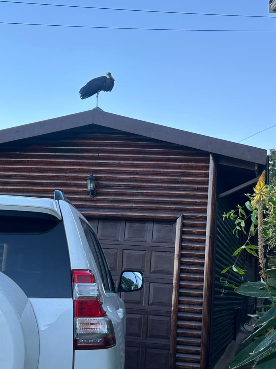 Shad House in KwaZulu-Natal