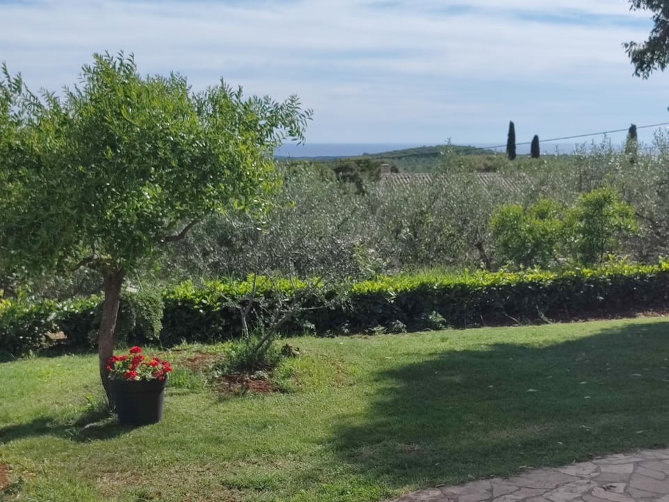 Apartment Matteo Apartment in Istria County