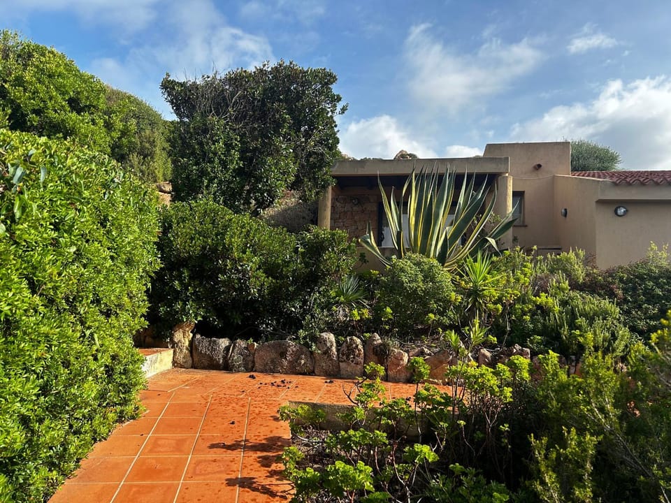 Property building, Garden view