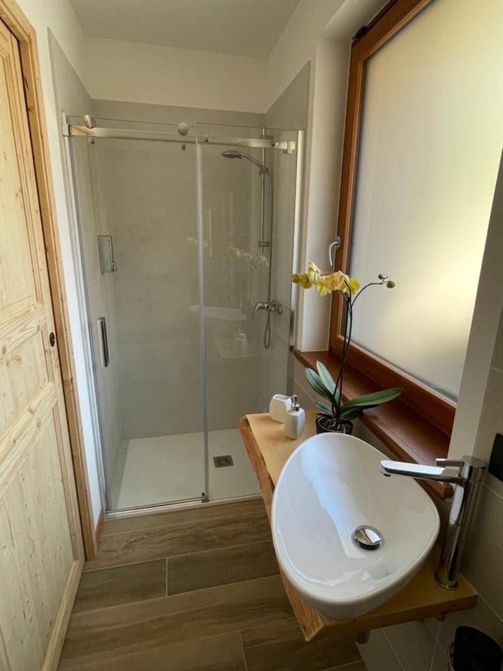 AFFITTACAMERE ALLE ALPI Bed and Breakfast in Friuli-Venezia Giulia