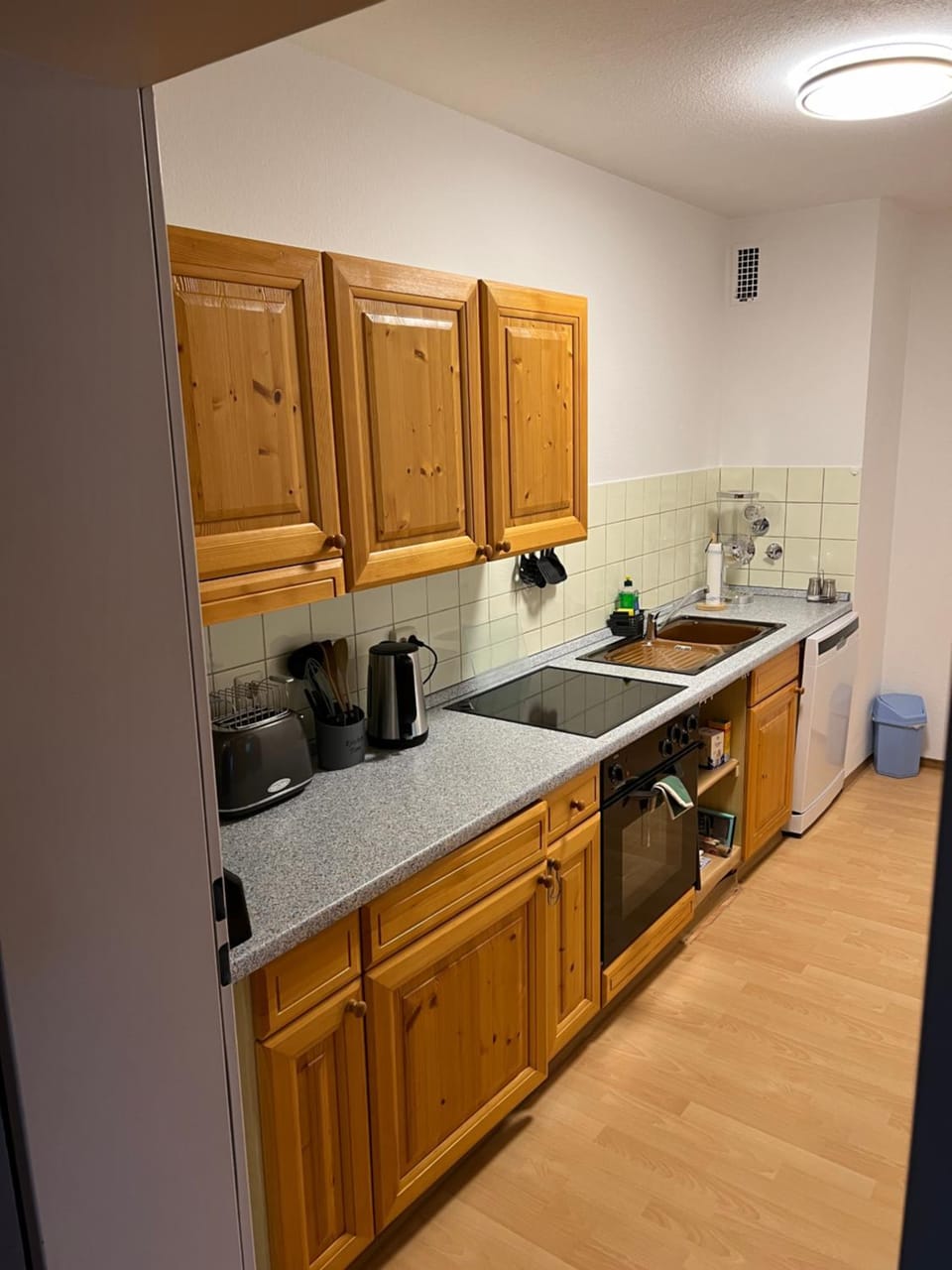 Kitchen or kitchenette, dishwasher, stove