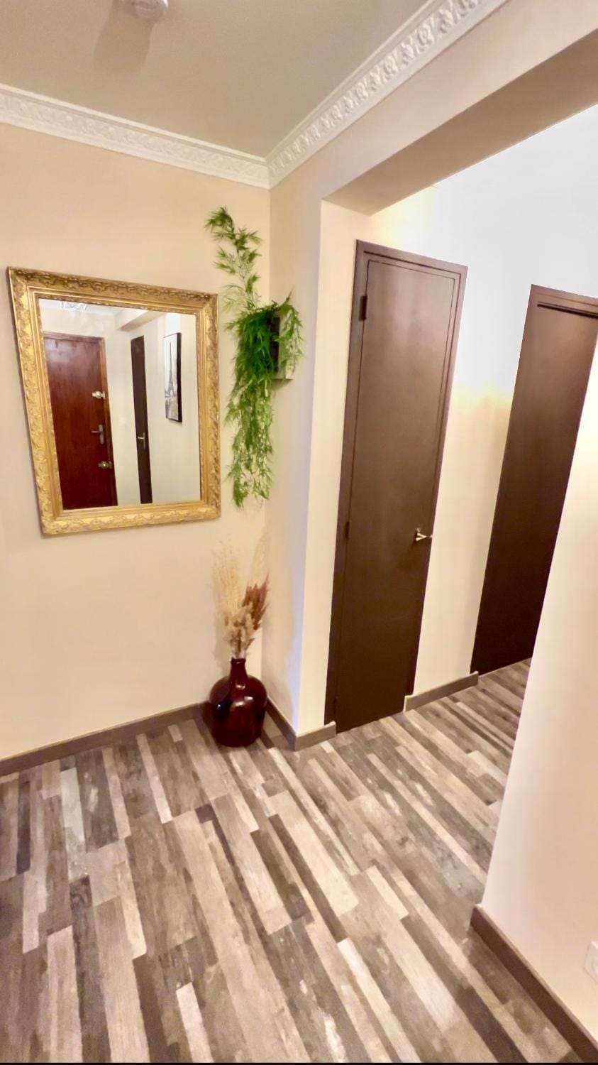 Pluton Apartment in Montpellier