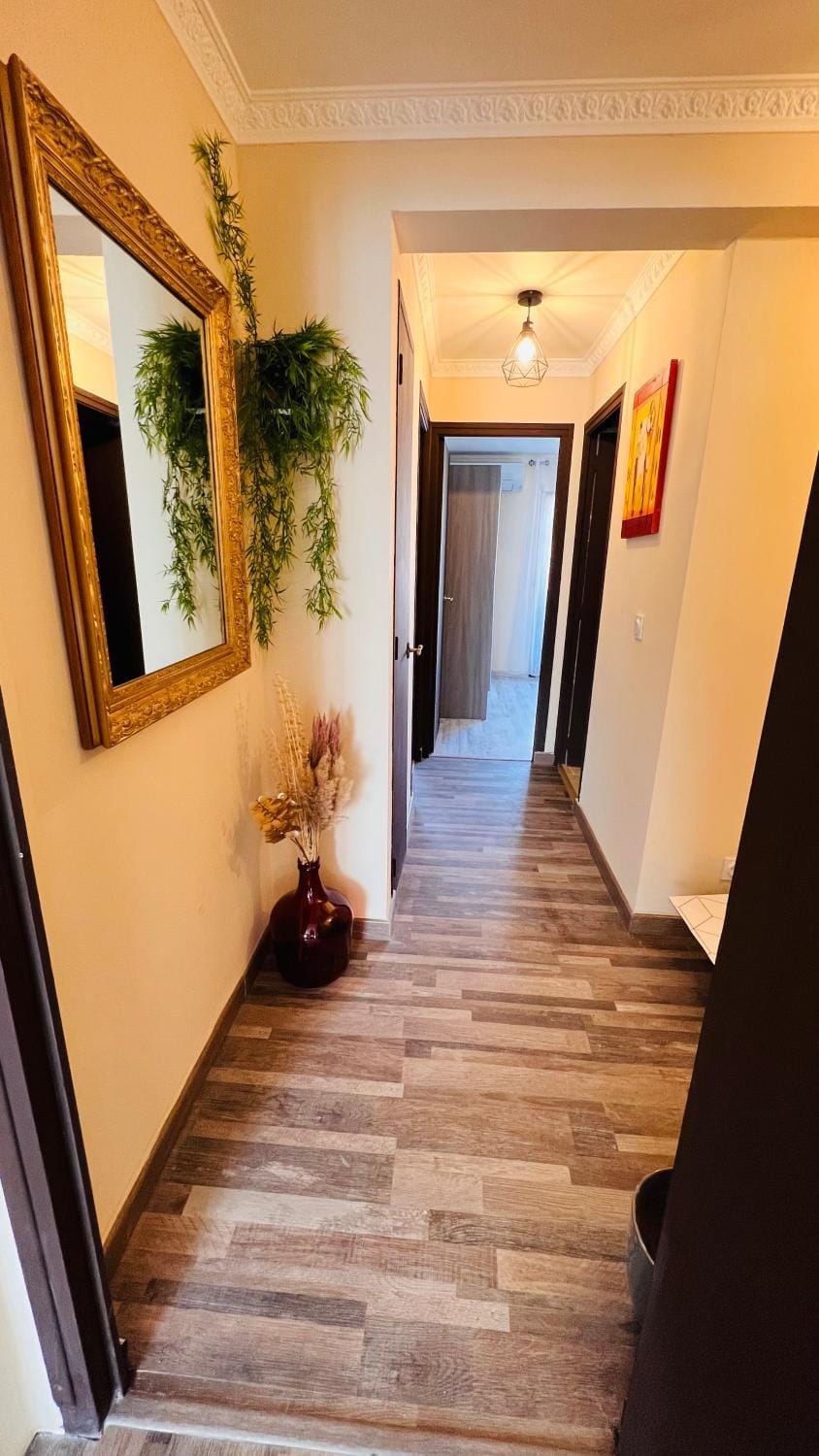 Pluton Apartment in Montpellier