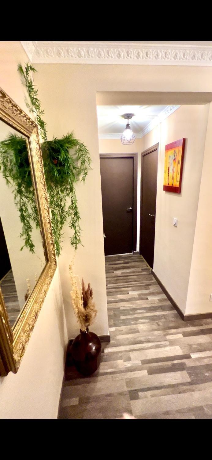 Pluton Apartment in Montpellier