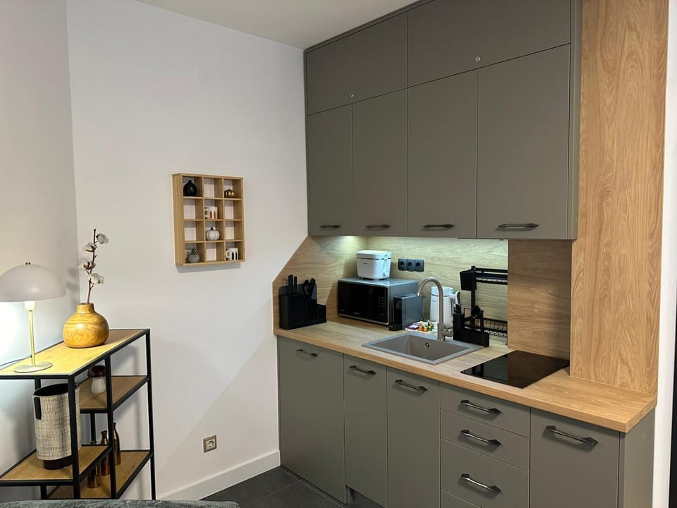 Sana Ski apartment 313A in Flora, Borovets Apartment in North Macedonia