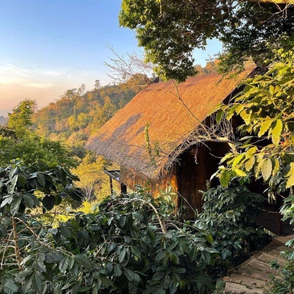 Property building, Natural landscape, Mountain view