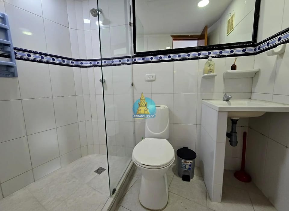 Shower, Toilet, Bathroom, bidet