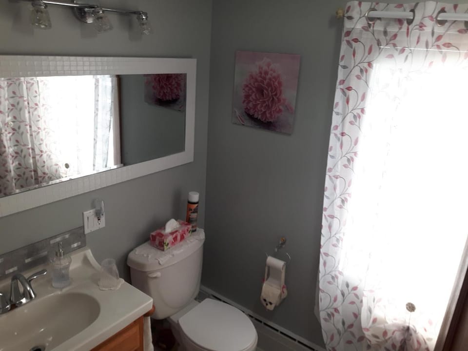 Shower, Toilet, Bathroom, Bath