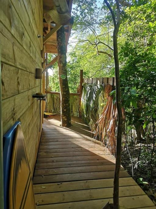 Shower, Natural landscape, Garden view