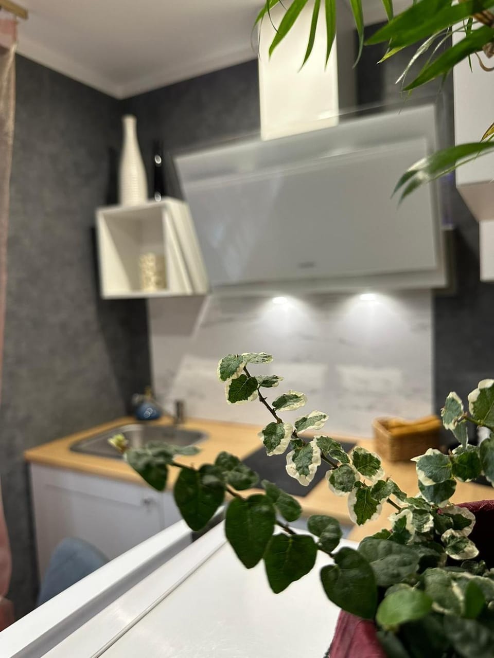 Hugo 3 Apartment in Latvia