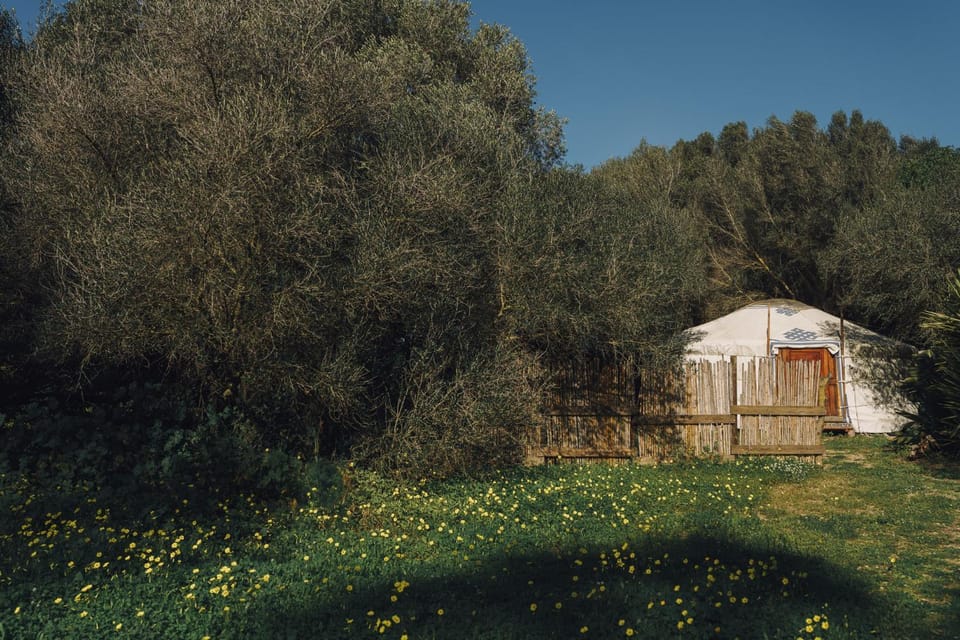 Spring, Day, Natural landscape, Garden, Garden view