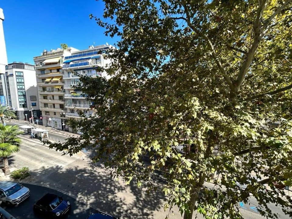 Carnot Apartment in Cannes