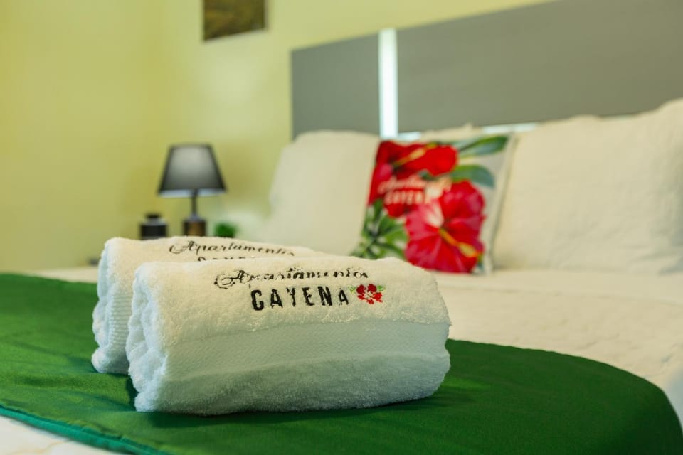 Air-conditioning , BBQ, Downtown city, just 3 minutes from the cable car and the beach Apartment in Puerto Plata