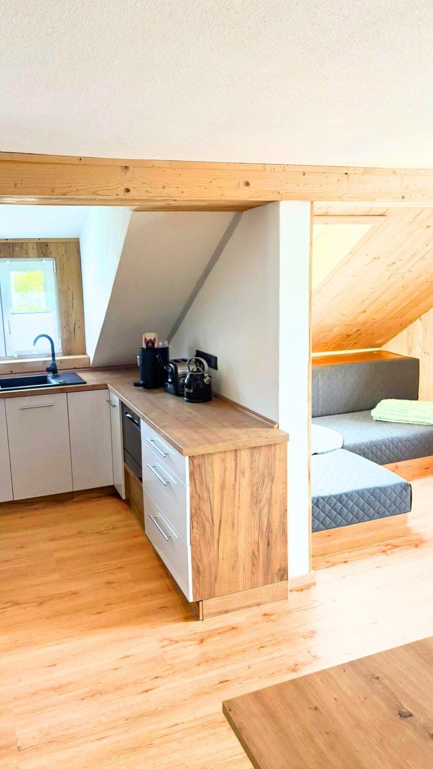 Kitchen or kitchenette, Photo of the whole room