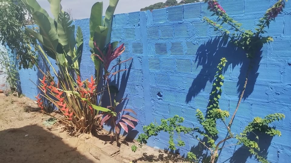 Casa praia cabuçu - azul com piscina House in State of Bahia