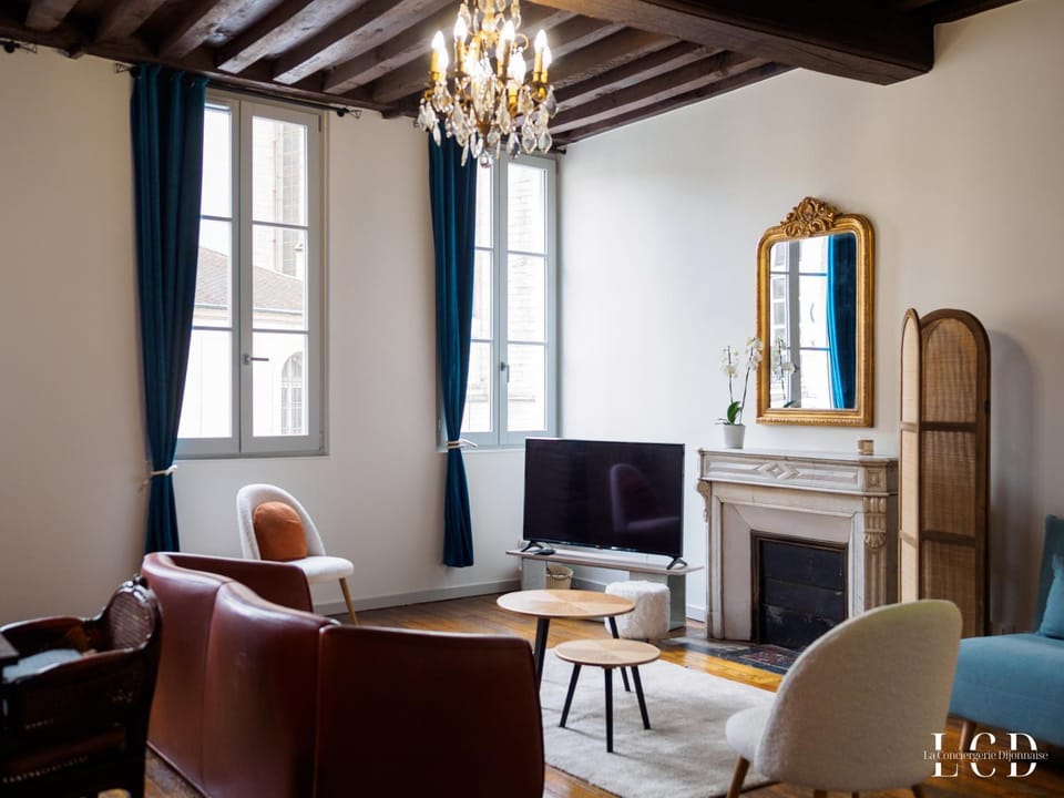 Au roi lion, place Saint Michel Apartment in Dijon