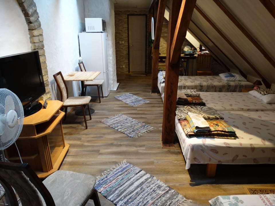 Frendlen Apartmend Apartment in Estonia